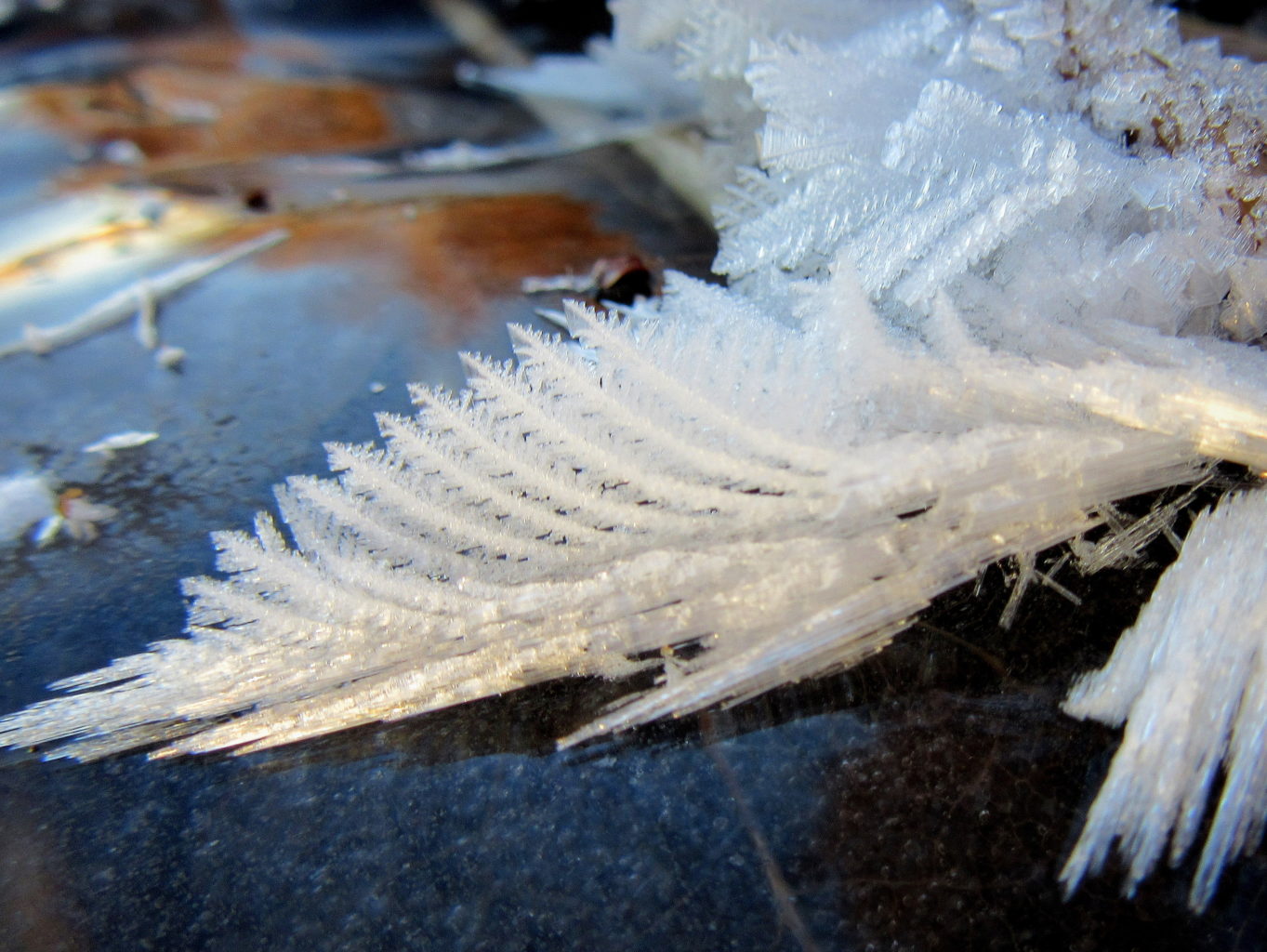 Valokuvaaja: Paula Savelius Valokuvaaja: Paula Savelius