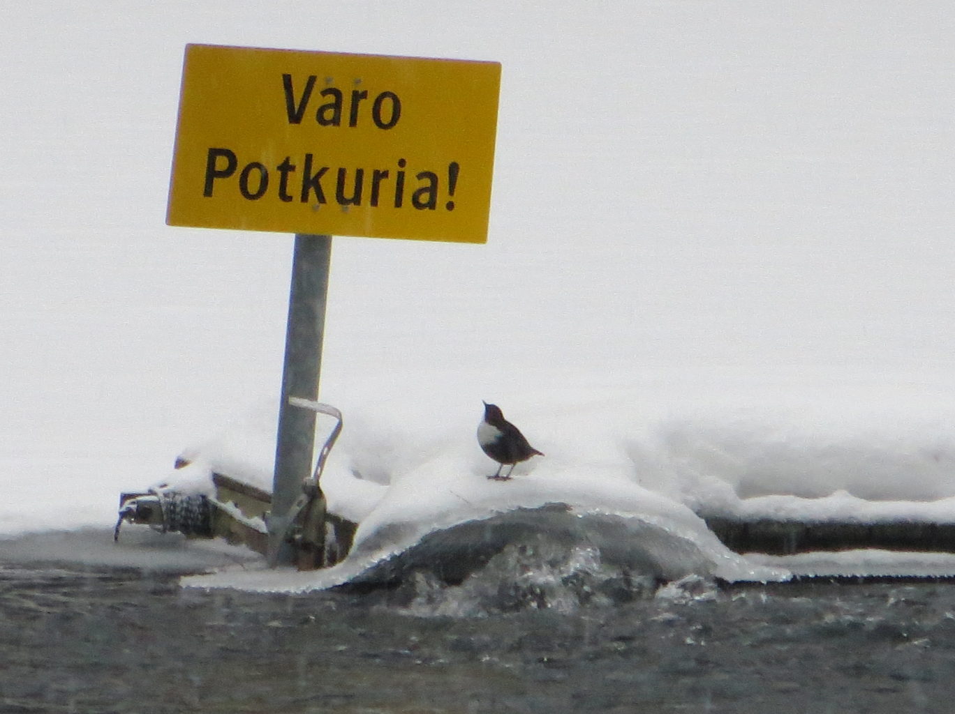 Valokuvaaja: Kai Kankare