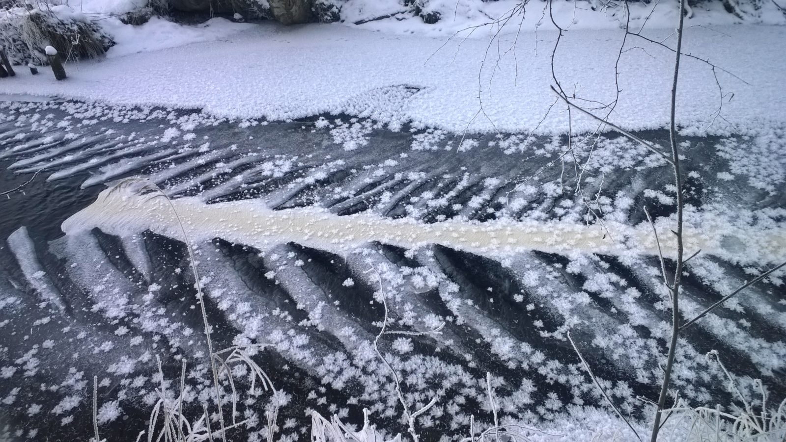 Valokuvaaja: Maire Hänninen