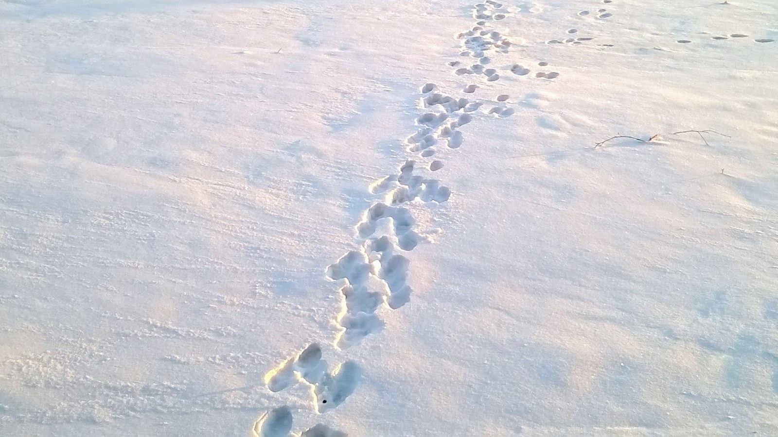 Valokuvaaja: Marja-Liisa Paavola