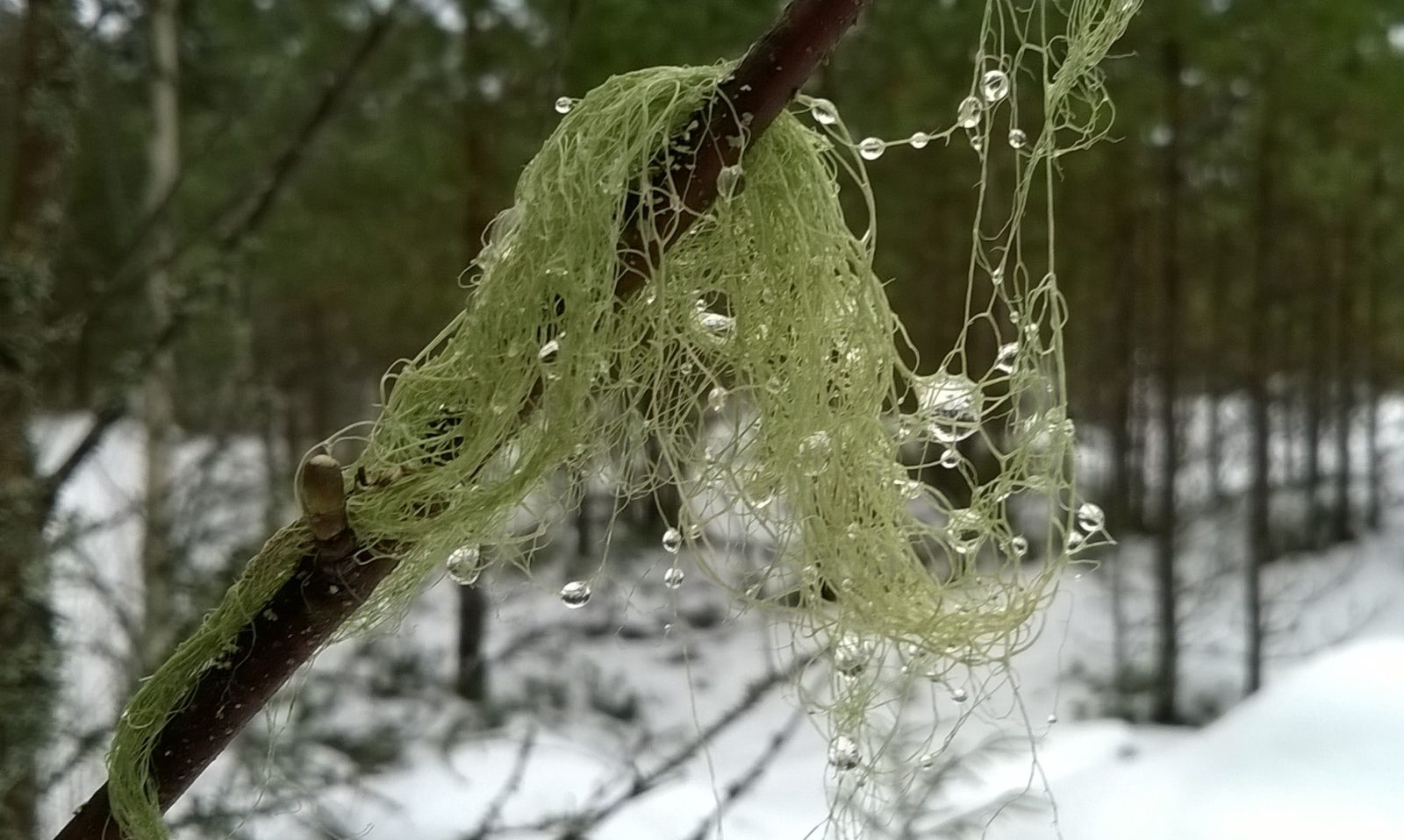 Valokuvaaja: Marja-Liisa Paavola