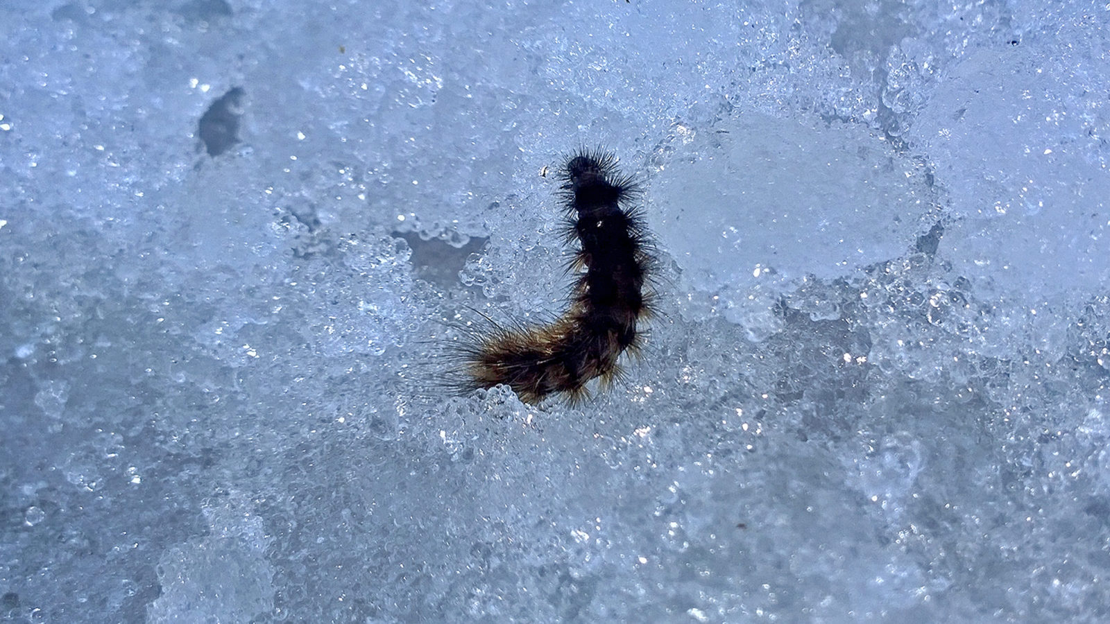 Valokuvaaja: Paavo Siukonen