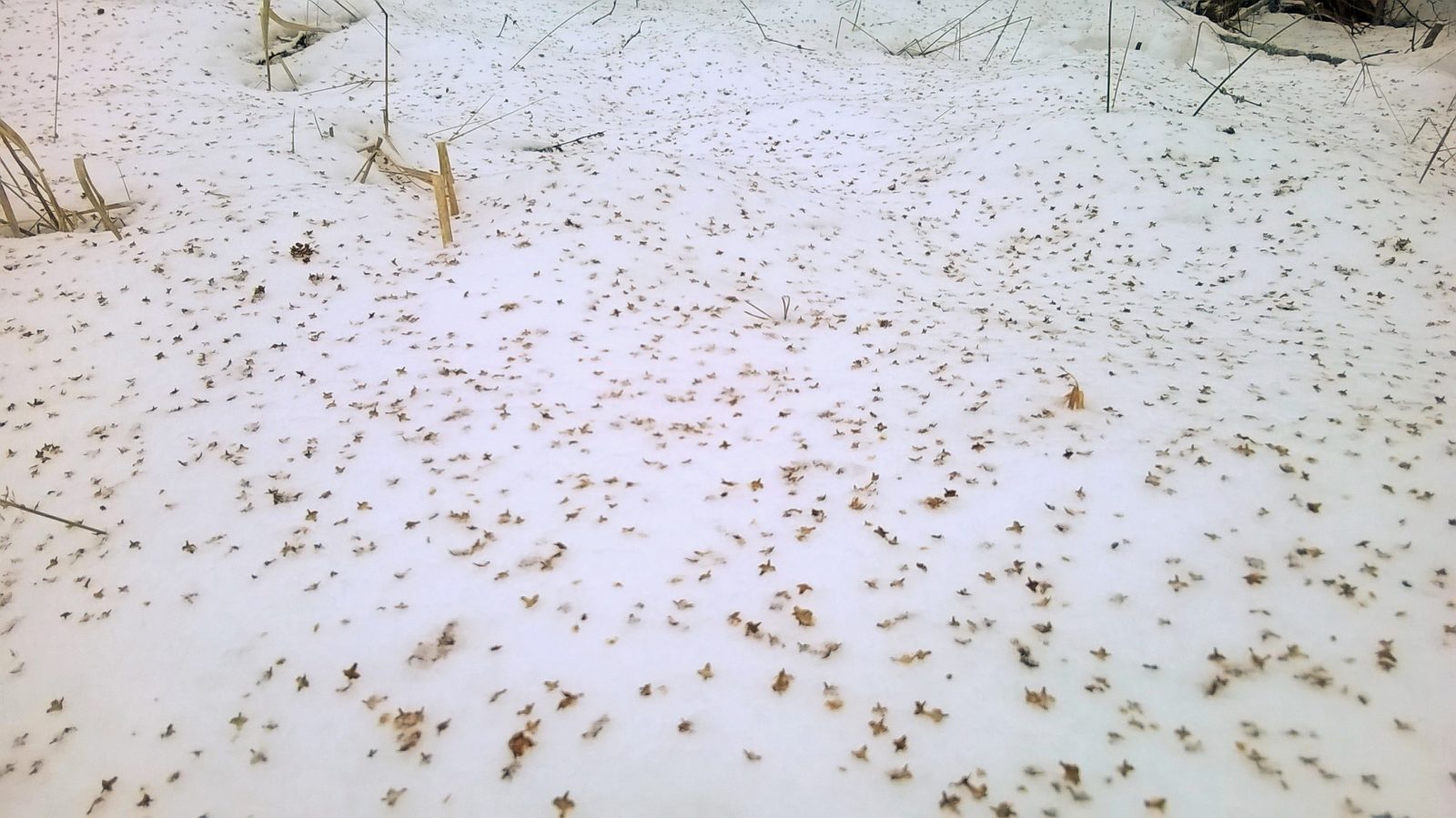 Valokuvaaja: Marja-Liisa Paavola