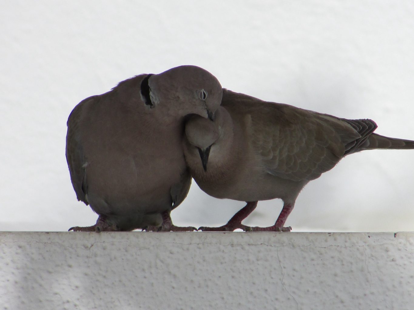 Valokuvaaja: Jutta Hirvelä