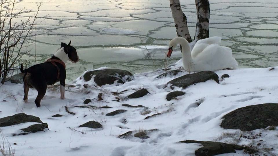 Valokuvaaja: Henna Poti