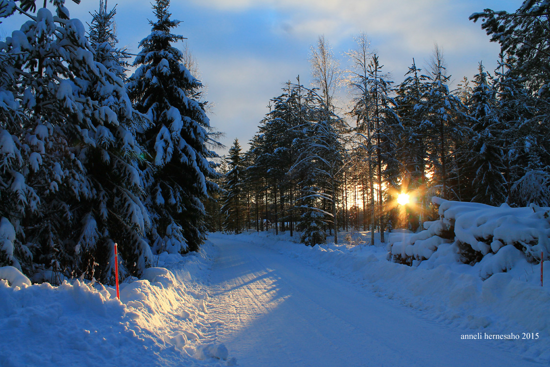 Valokuvaaja: Anneli Hernesaho