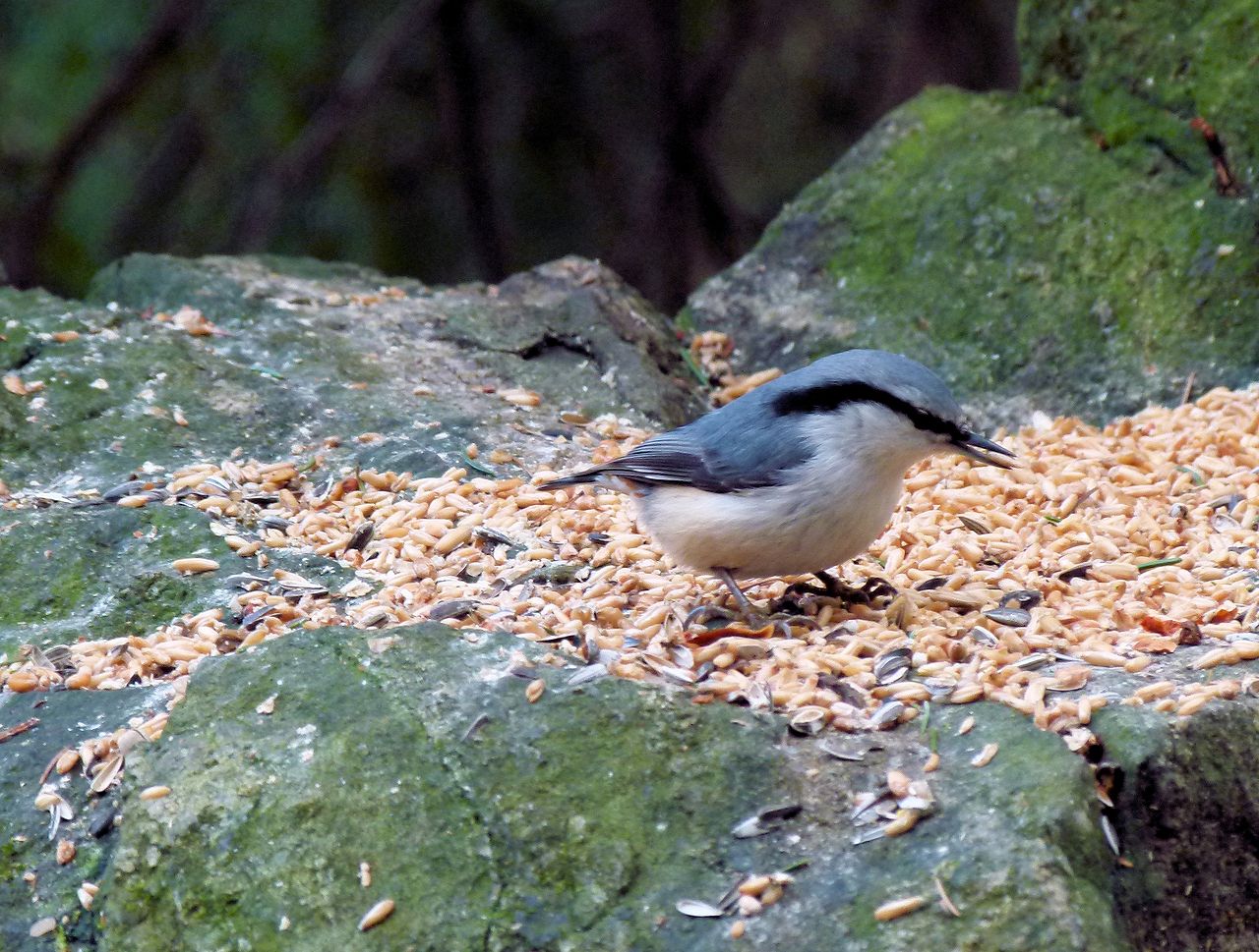 Valokuvaaja: Jaana Svahn