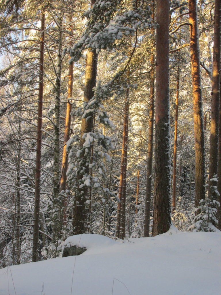Valokuvaaja: Virpi Sinervo