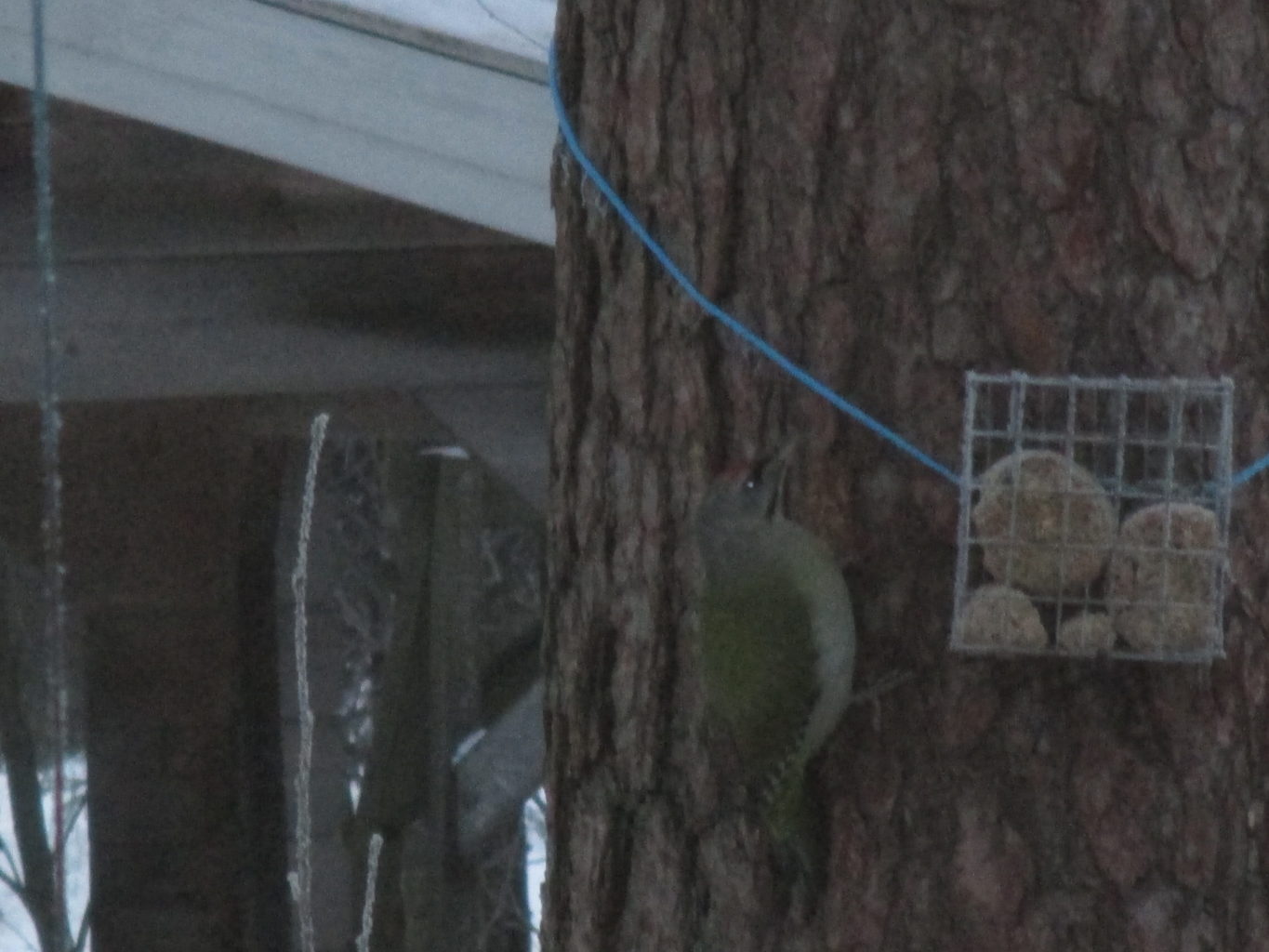 Valokuvaaja: yrjo lukkari