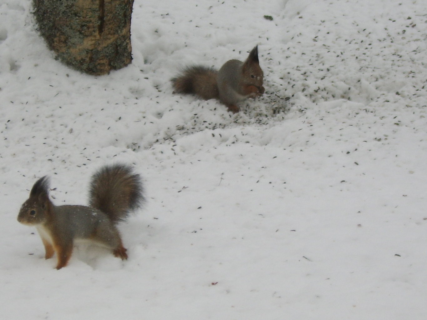 Valokuvaaja: Randelin Salme Valokuvaaja: Randelin Salme