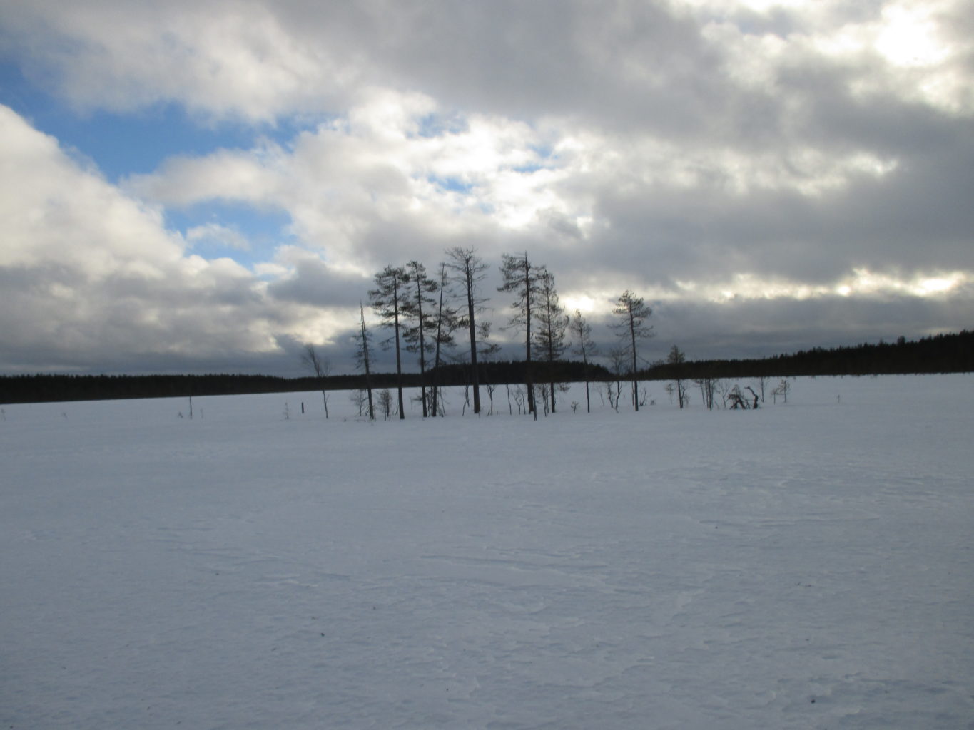 Valokuvaaja: yrjo lukkari
