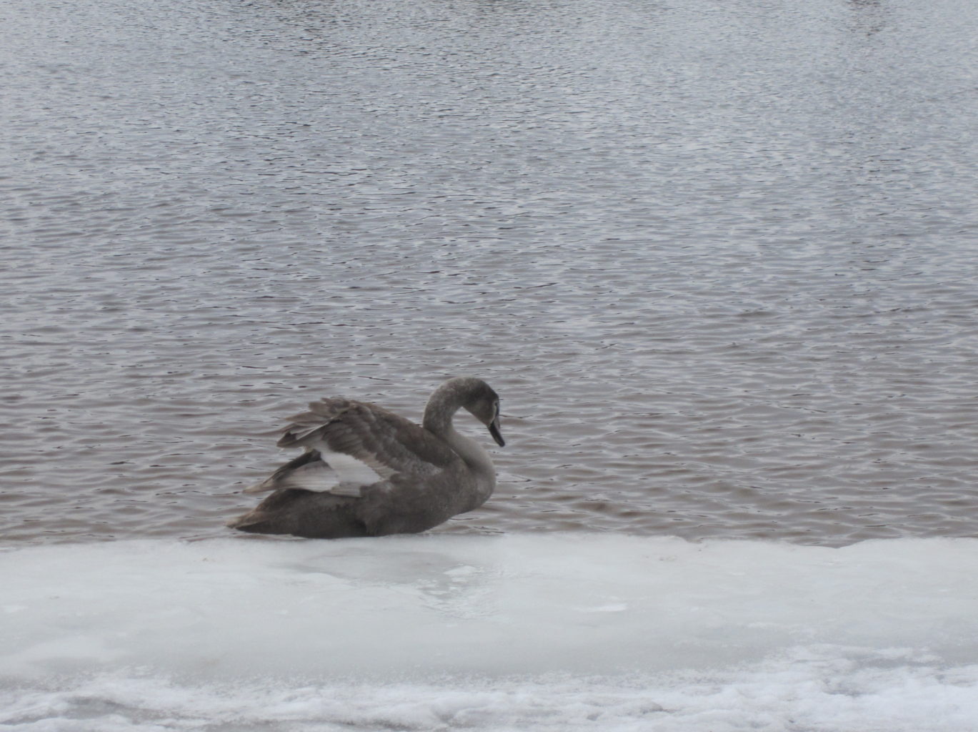 Valokuvaaja: Liisa Kiljunen
