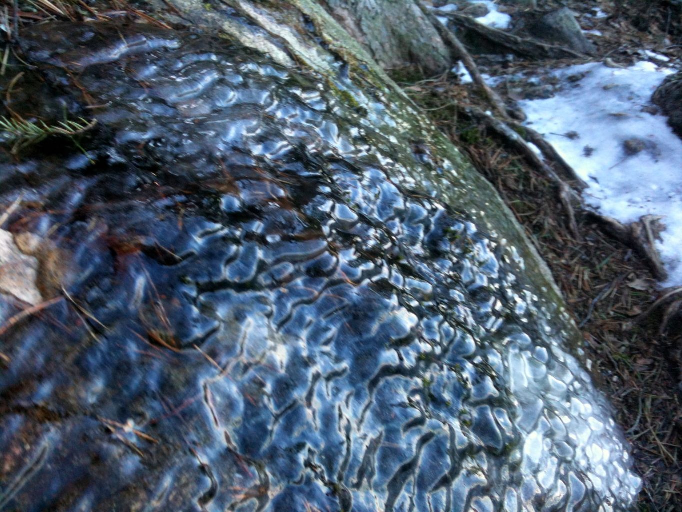 Valokuvaaja: Heli Hämäläinen-Laanaya