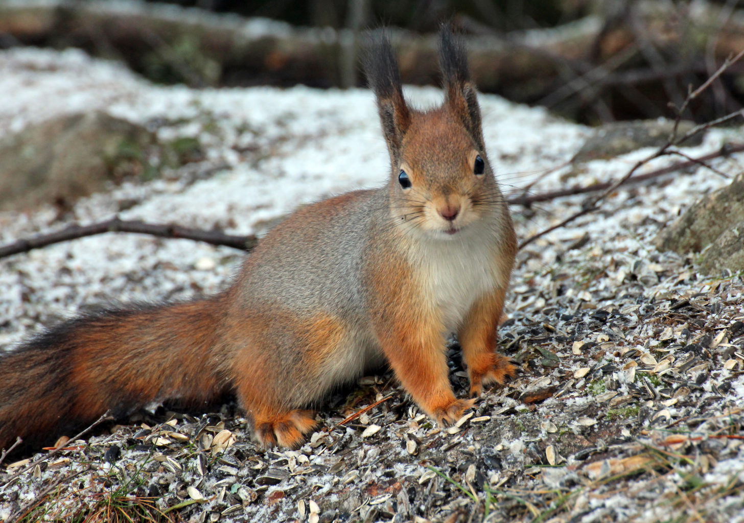 Valokuvaaja: Katri Mäkinen Valokuvaaja: Katri Mäkinen