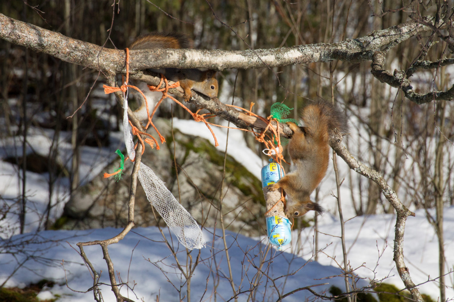 Valokuvaaja: Katri Mäkinen