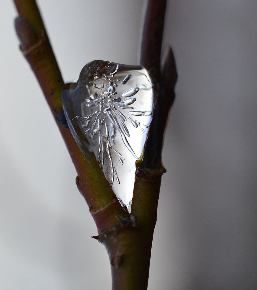 Valokuvaaja: Seija  Annala