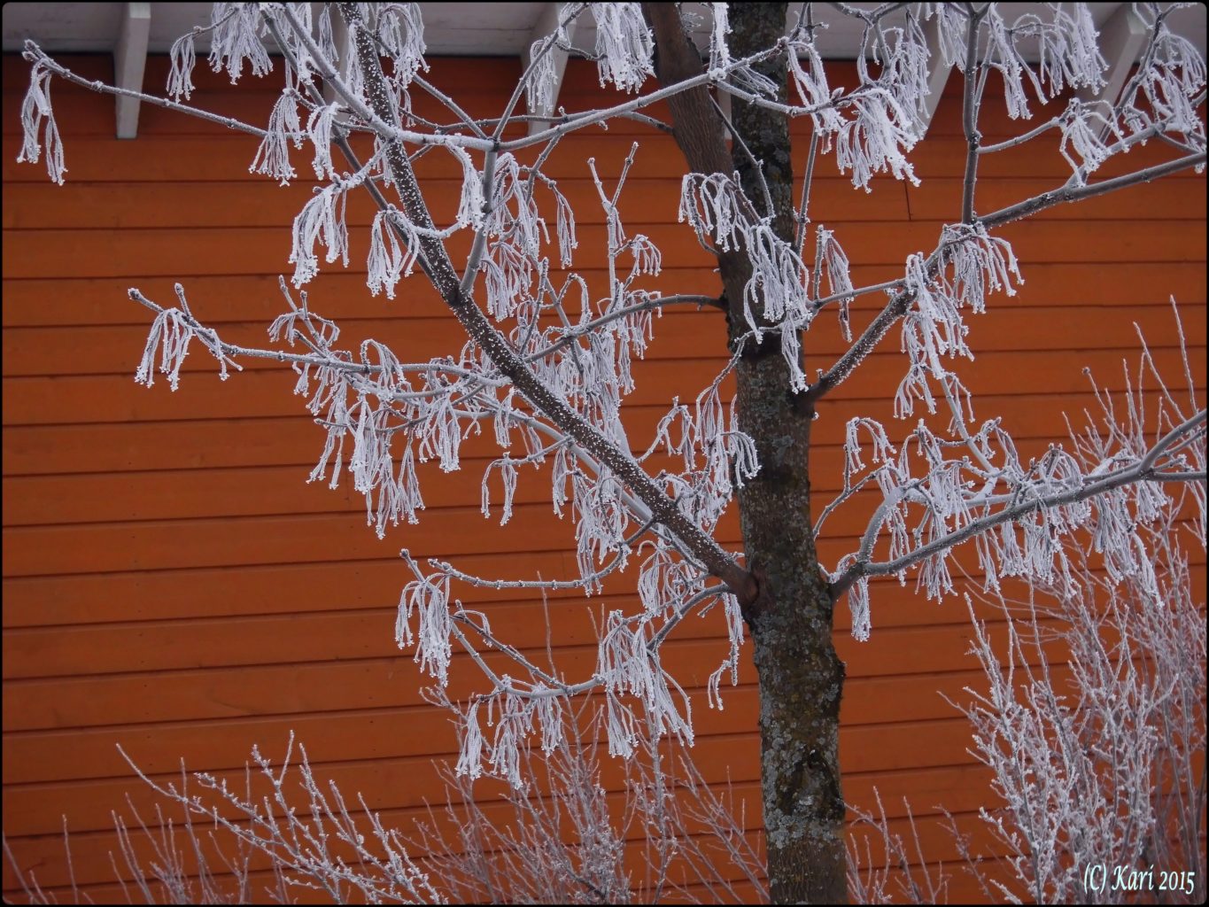 Valokuvaaja: Kari Saarinen
