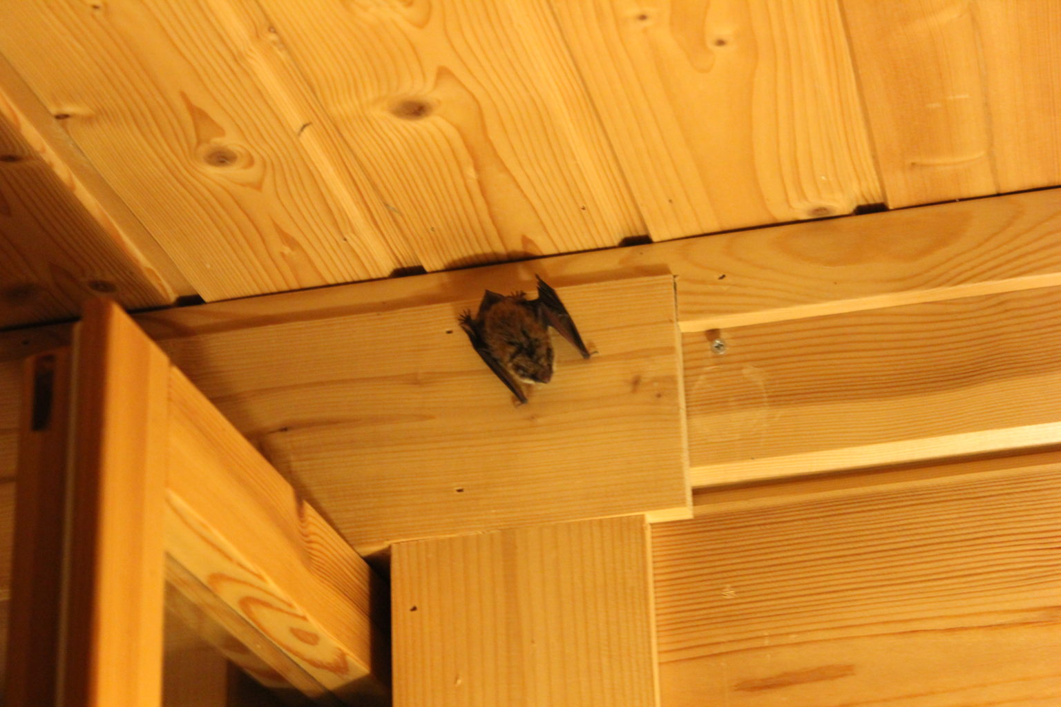 Valokuvaaja: Elias Pölkki