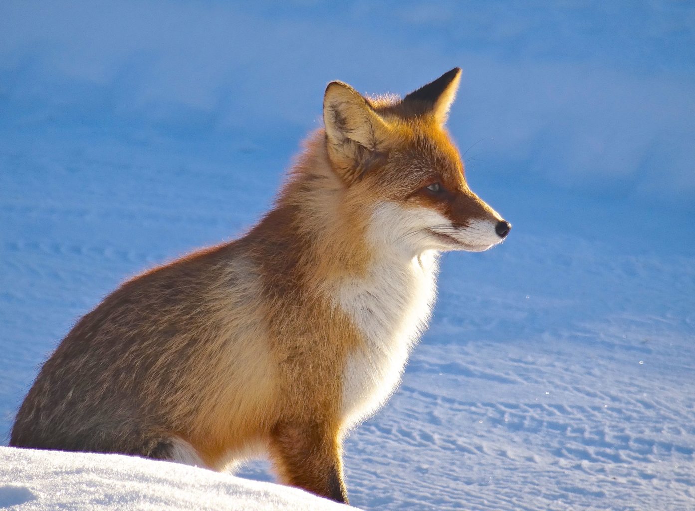 Valokuvaaja: Liisa Niiva-Korpela