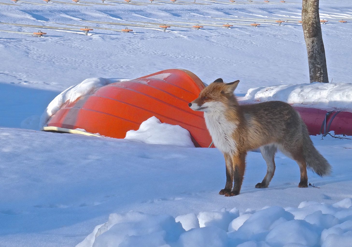Valokuvaaja: Liisa Niiva-Korpela