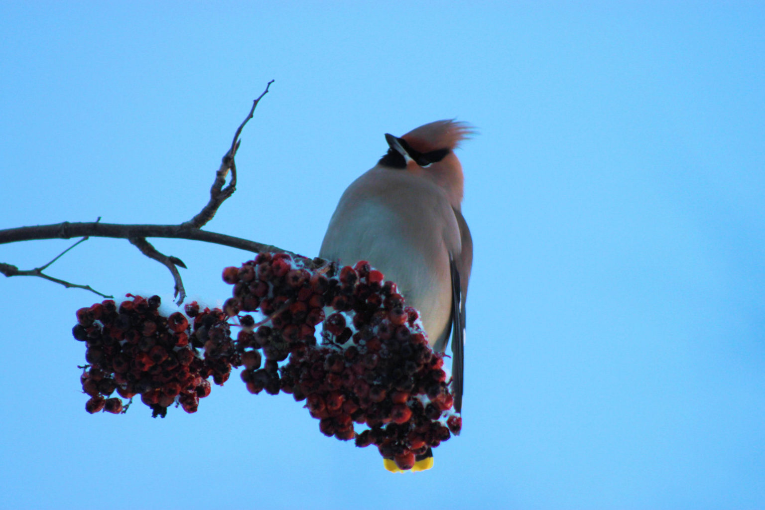 Valokuvaaja: Ahti  Keränen
