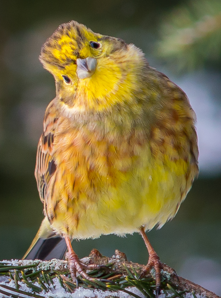 Valokuvaaja: Terho Männistö