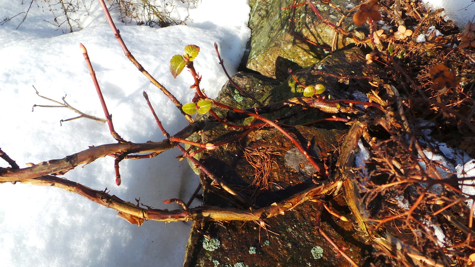 Valokuvaaja: Kirsi Grönholm