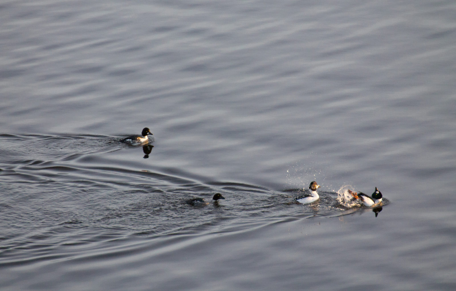 Valokuvaaja: Katri Mäkinen