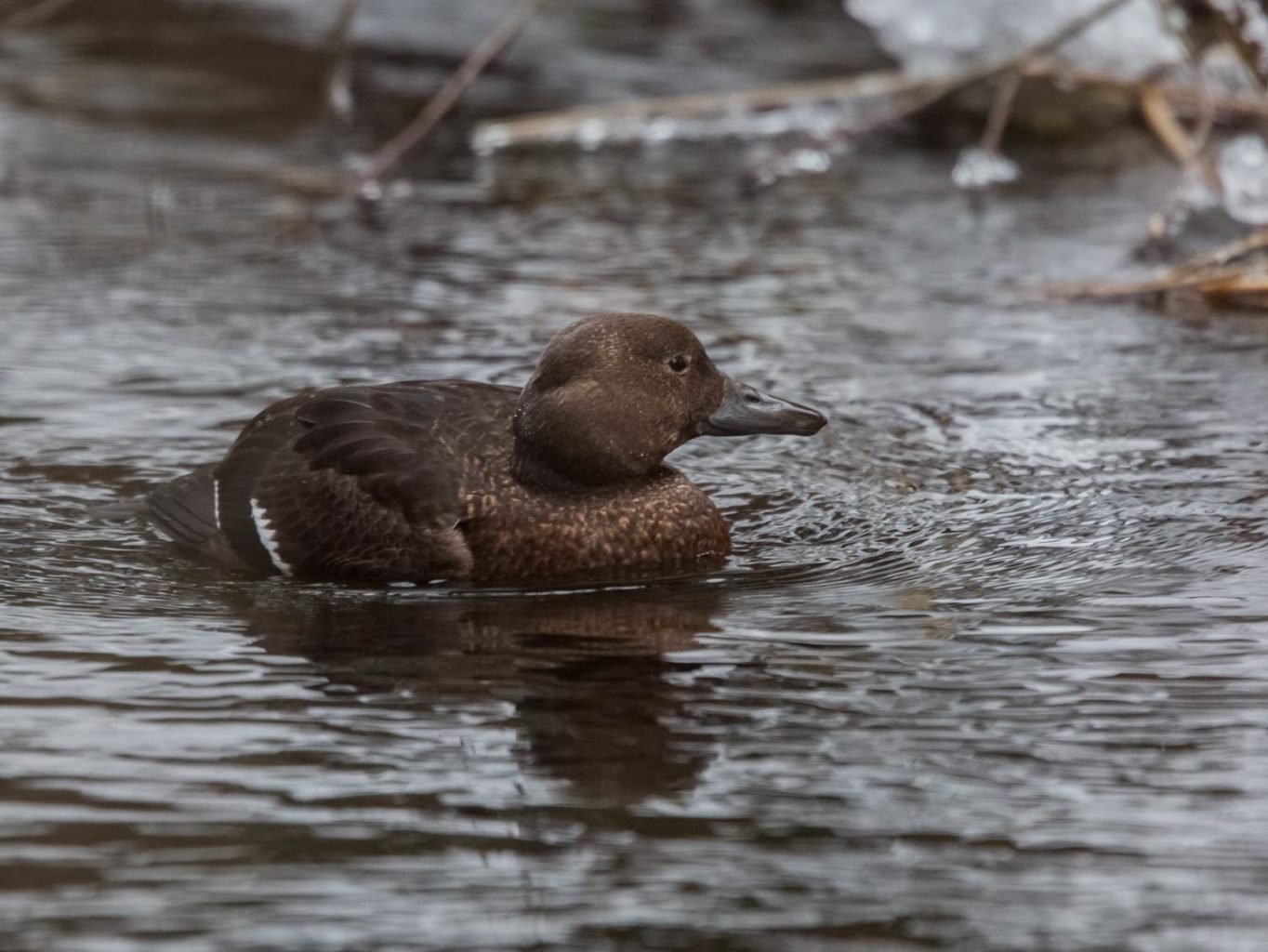 Valokuvaaja: Markku Salonen