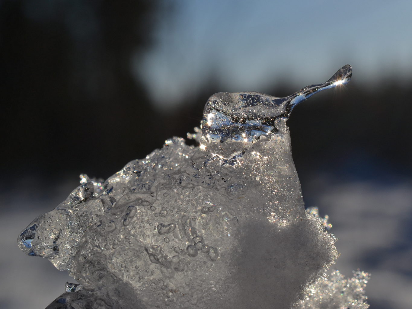 Valokuvaaja: Seija  Annala Valokuvaaja: Seija  Annala