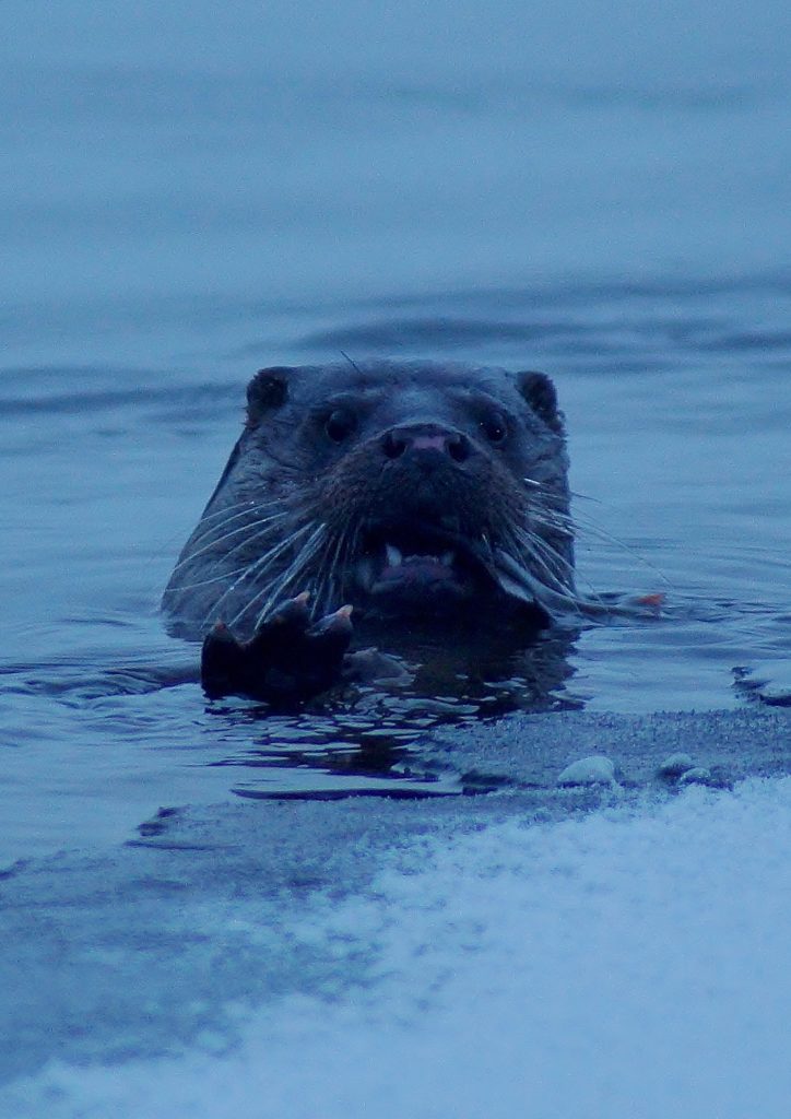 Valokuvaaja: Maarit Siitonen