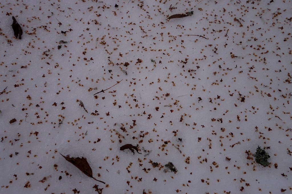 Valokuvaaja: Kaarina Heiskanen