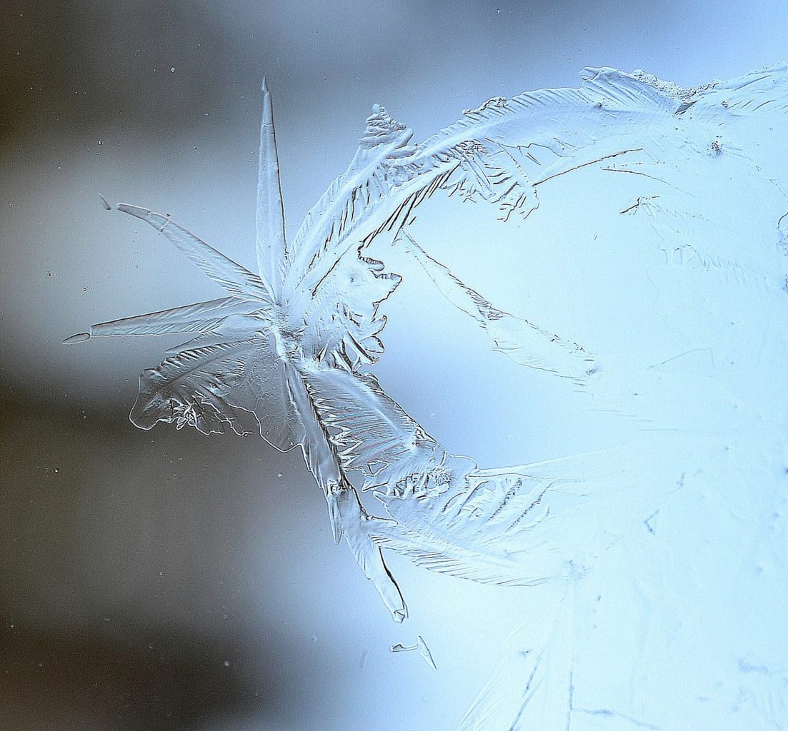 Valokuvaaja: Seija  Annala Valokuvaaja: Seija  Annala