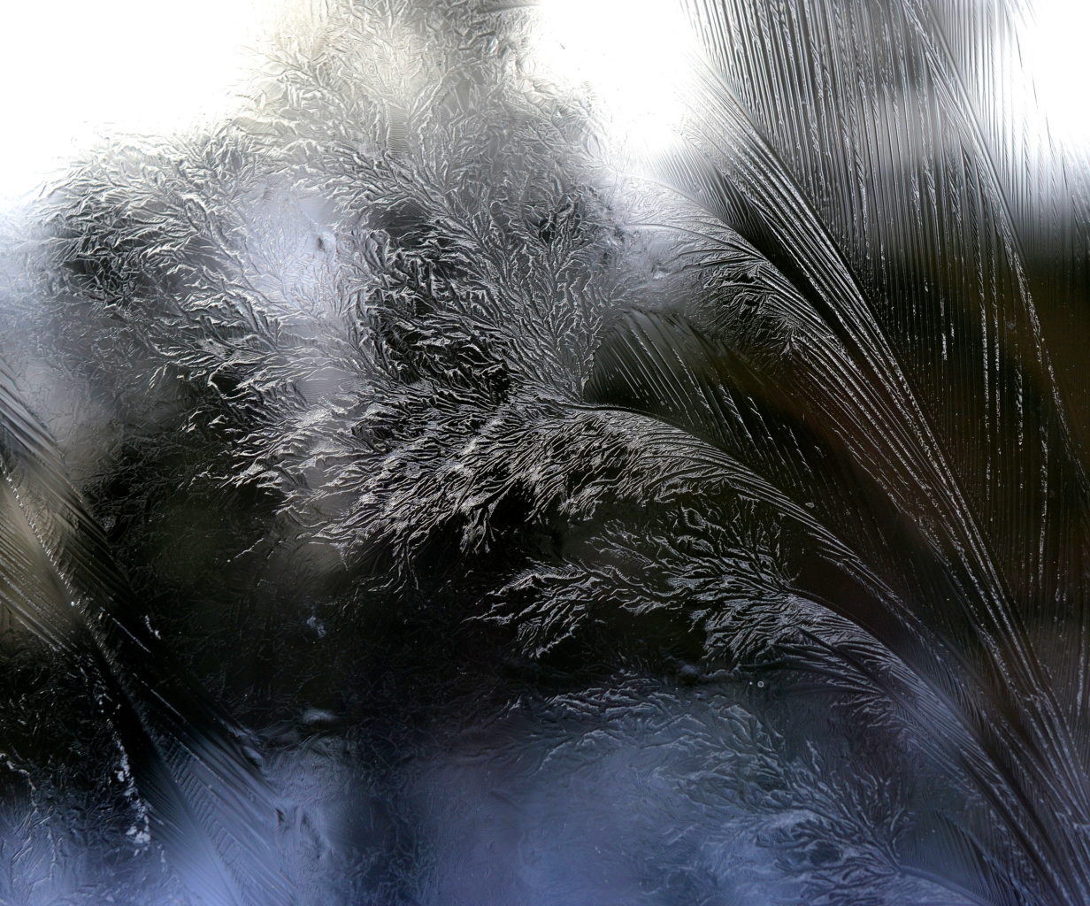 Valokuvaaja: Seija  Annala