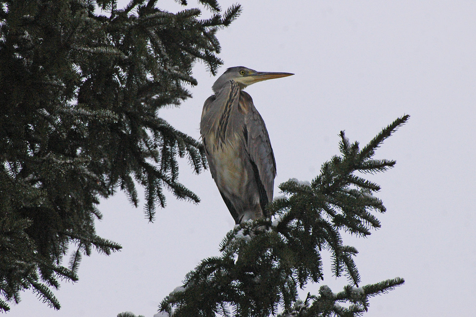 Valokuvaaja: Paavo Siukonen