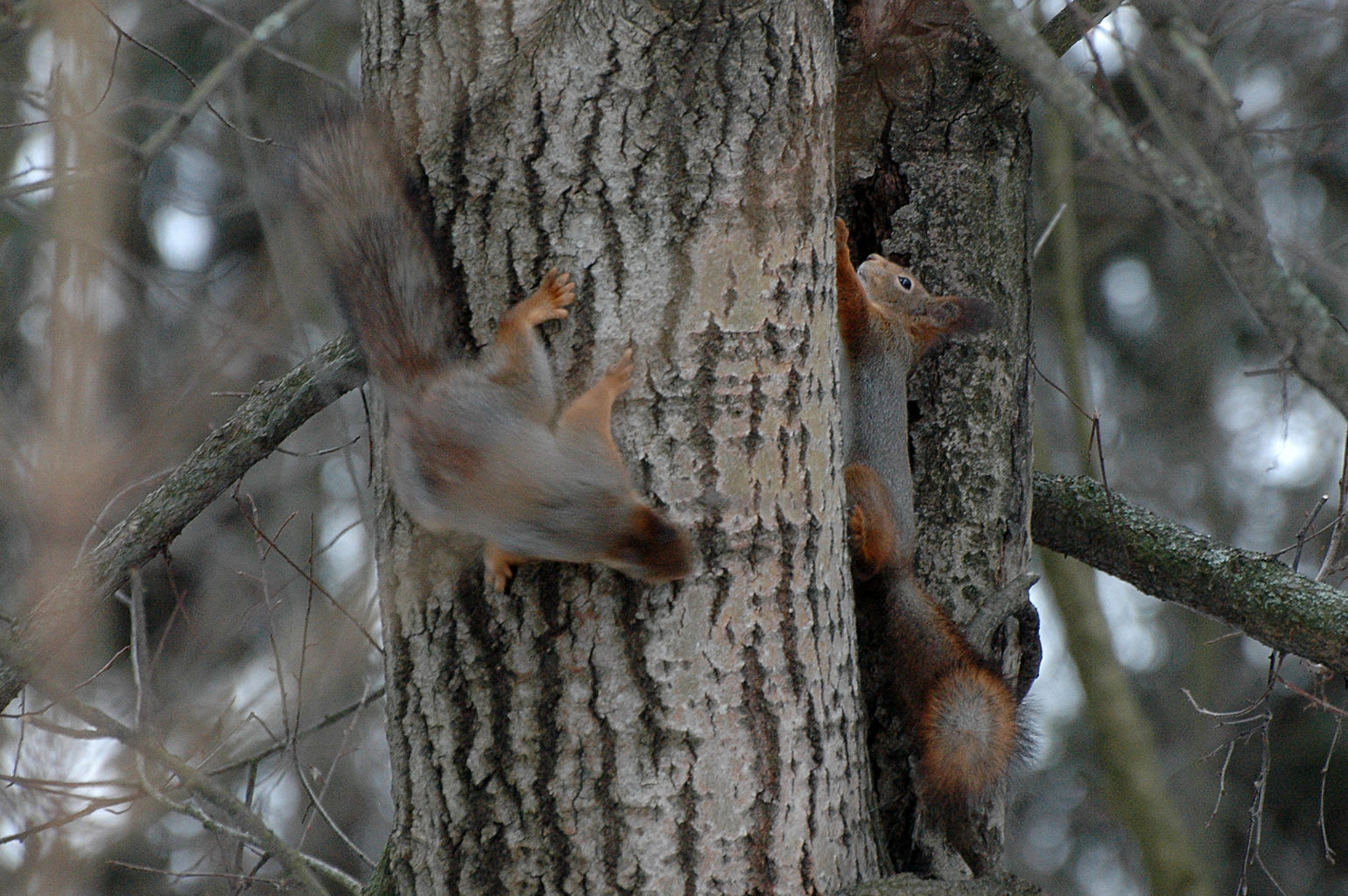 Valokuvaaja: Paavo Siukonen