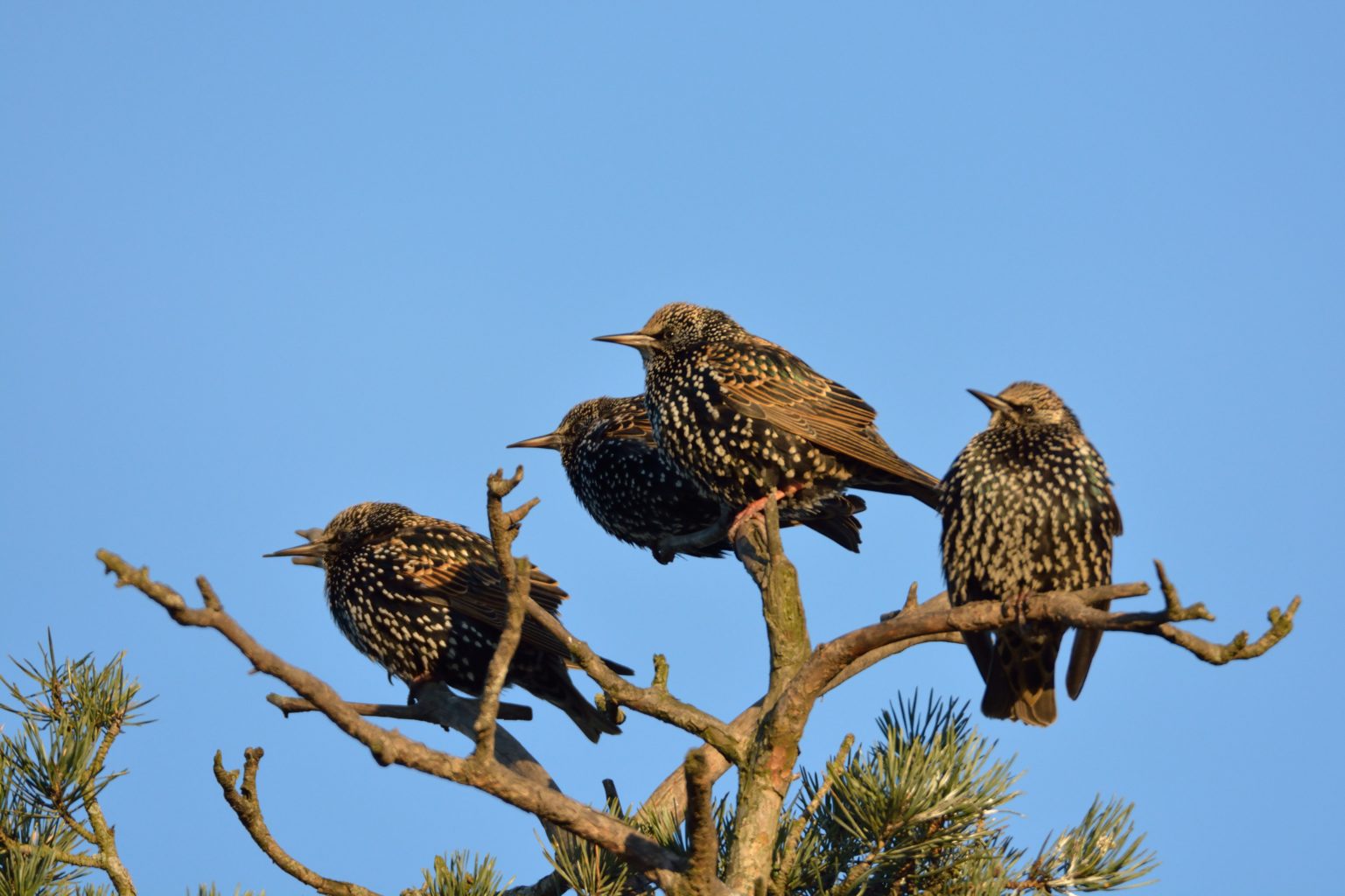 Valokuvaaja: Asko Heikkinen Valokuvaaja: Asko Heikkinen