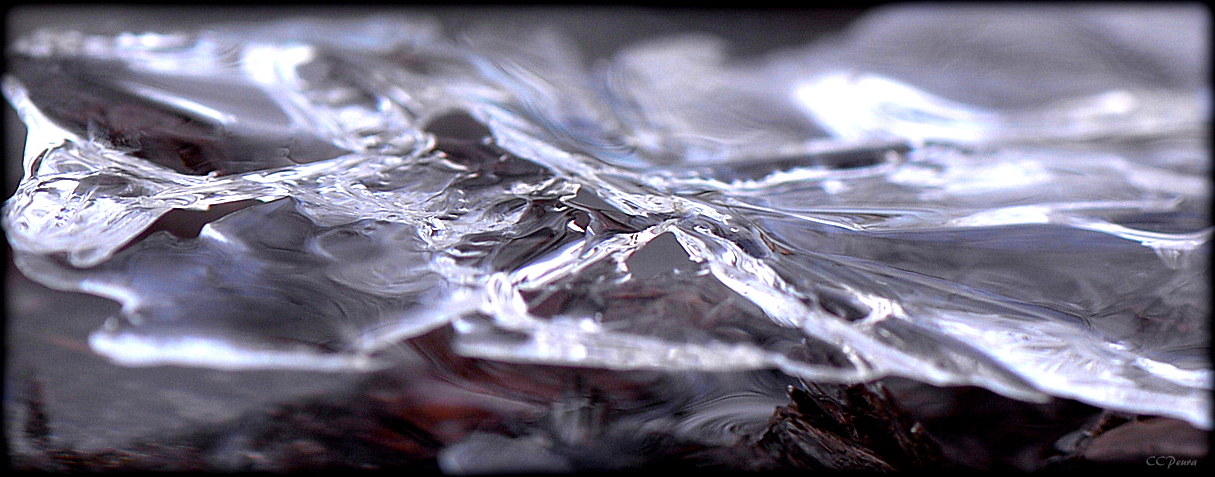 Valokuvaaja: Carita Peura