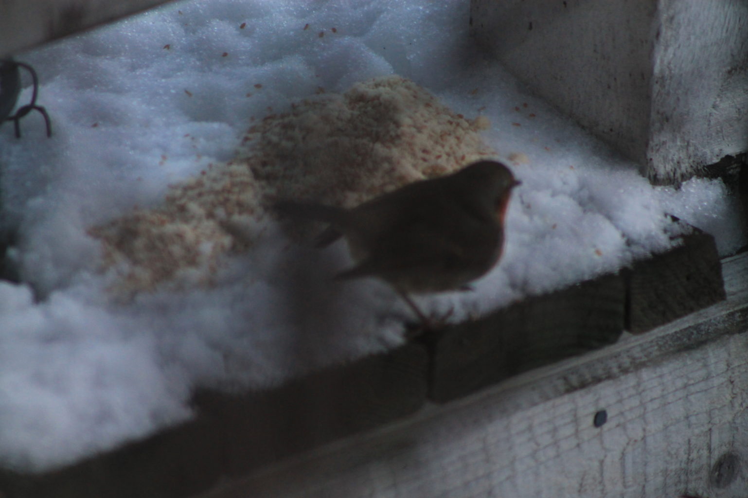 Valokuvaaja: Anna Wahlberg