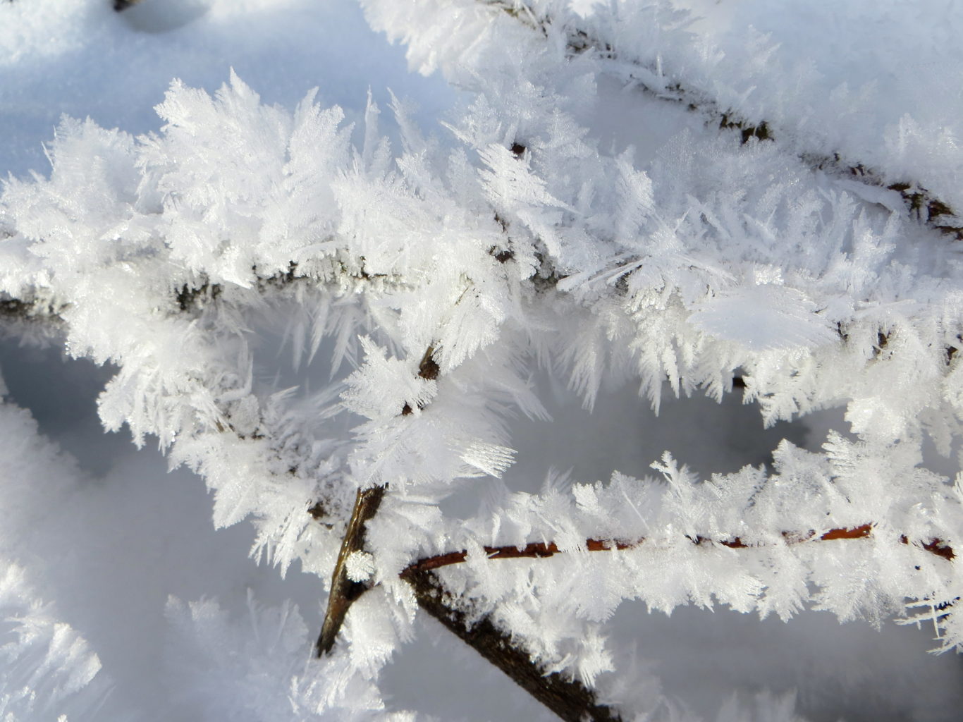 Valokuvaaja: Sirkka Ruotoistenmäki
