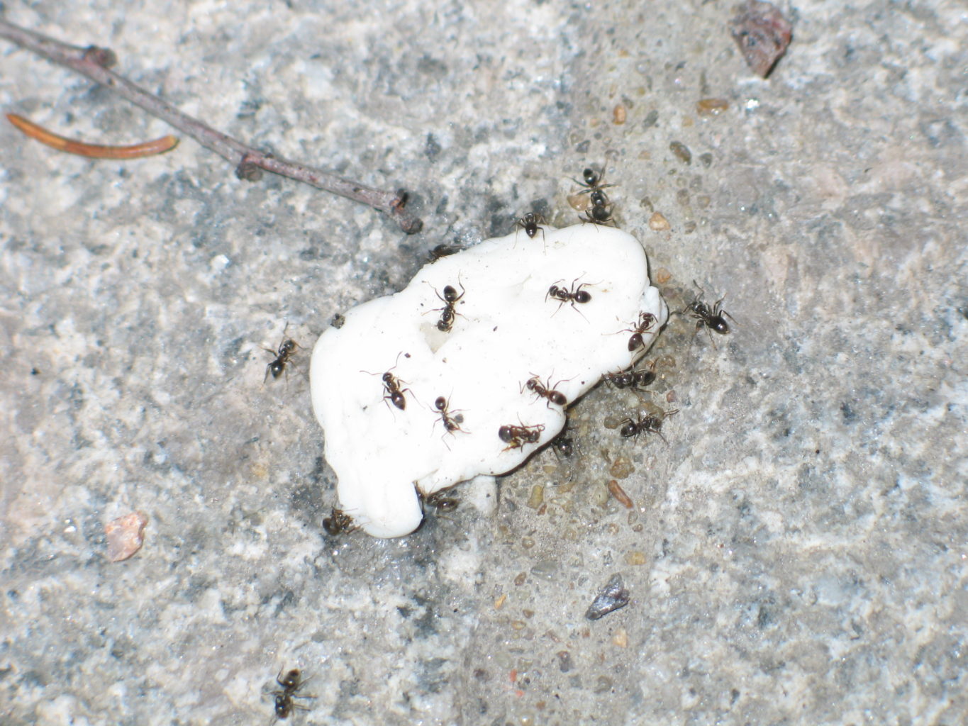 Valokuvaaja: Riika Vilkko