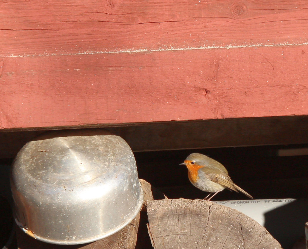 Valokuvaaja: Jorma Rönkkö