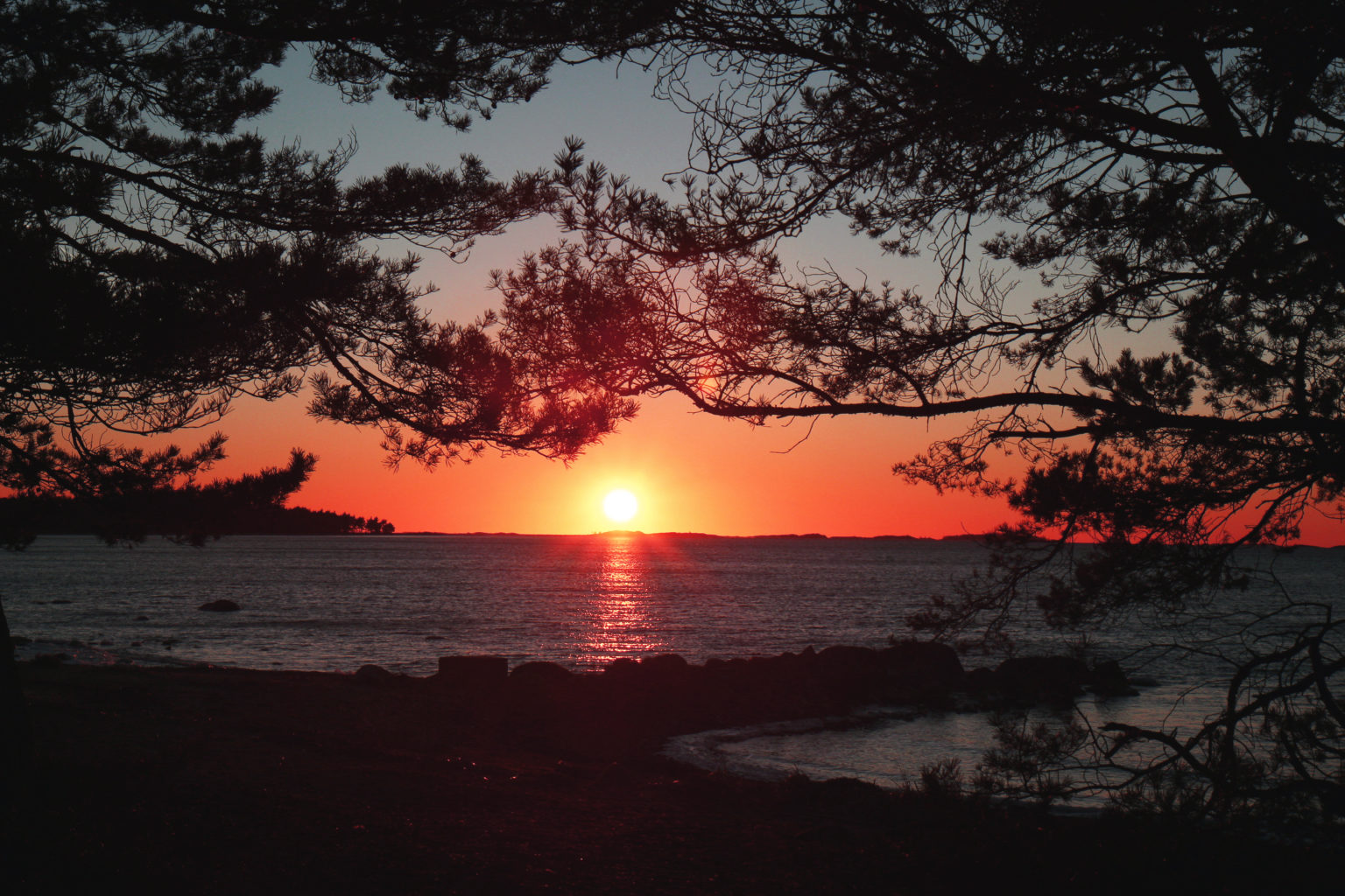 Valokuvaaja: Jorma Rönkkö