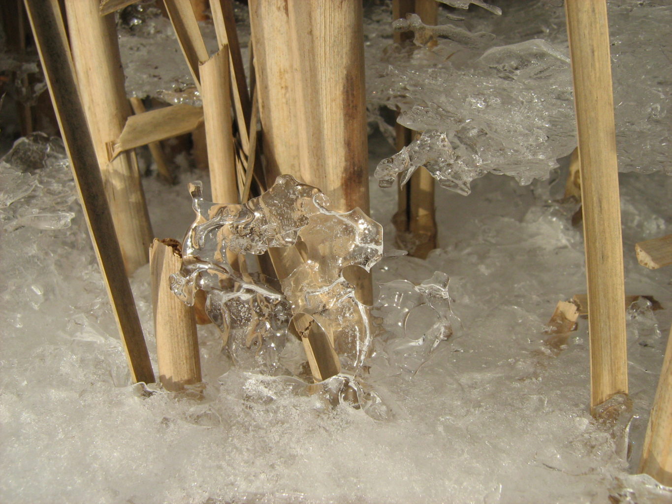 Valokuvaaja: Seija Saikkonen Valokuvaaja: Seija Saikkonen