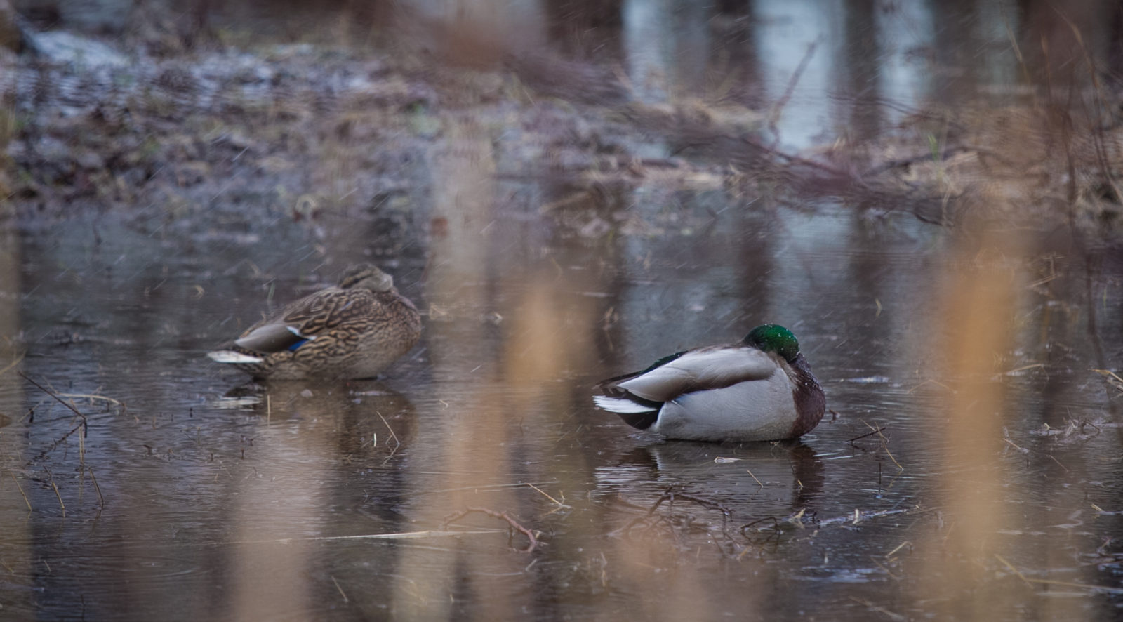 Valokuvaaja: Satu Mali Valokuvaaja: Satu Mali