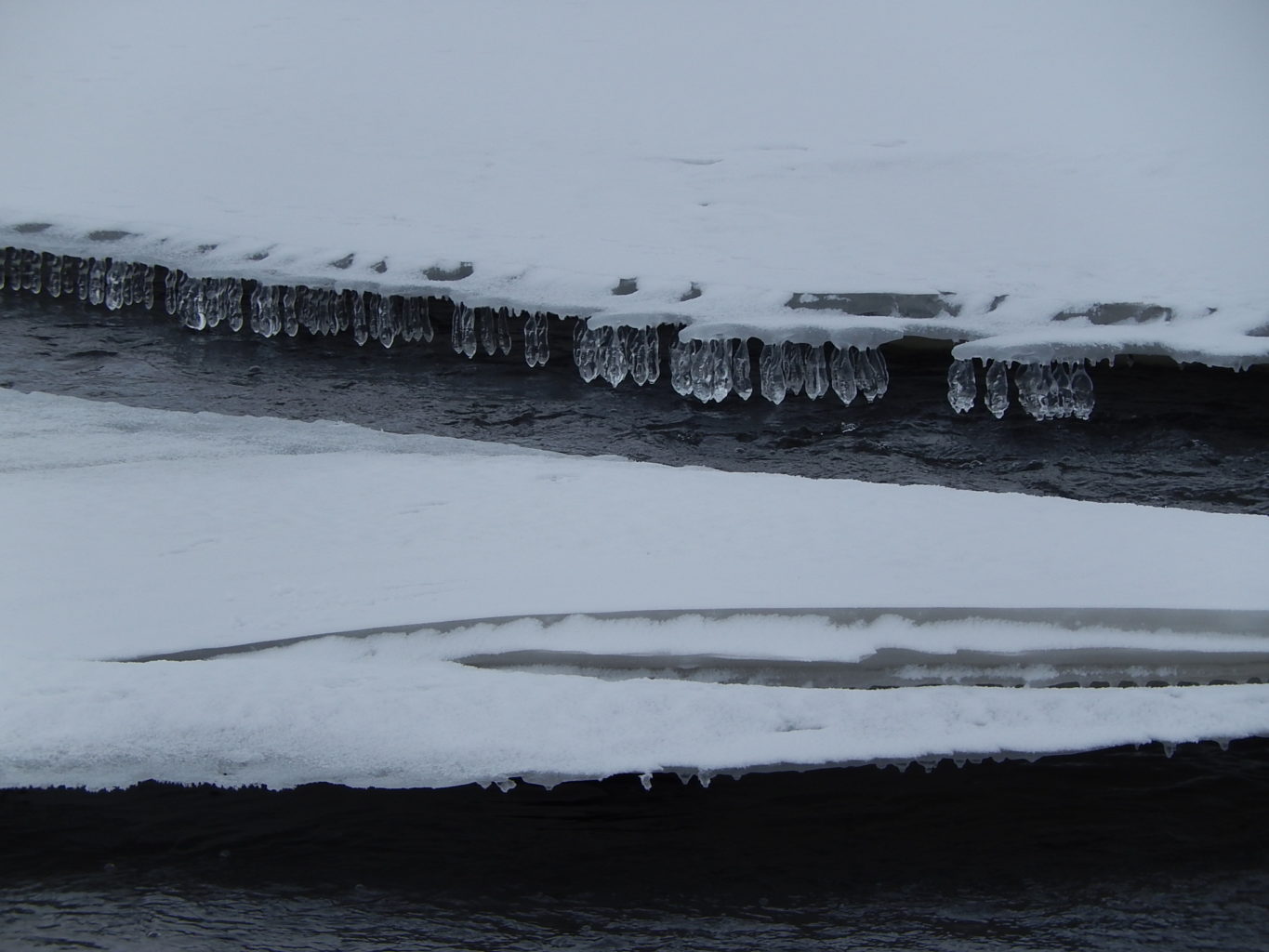 Valokuvaaja: Pirkko Siukonen