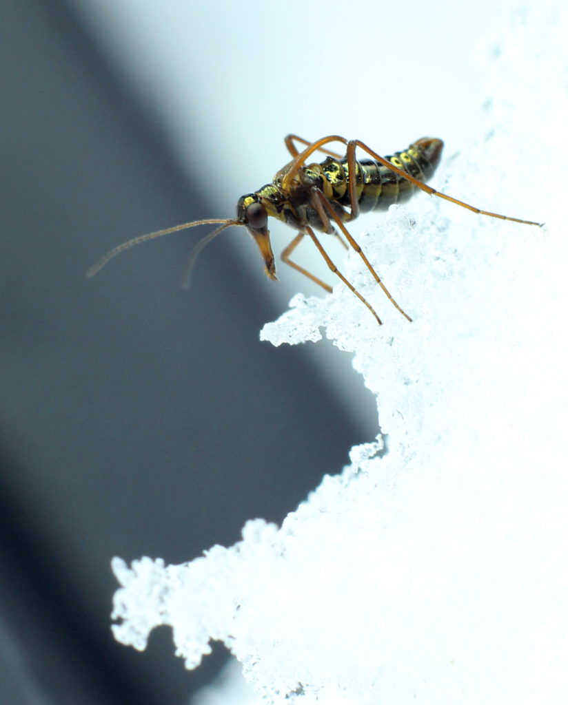 Valokuvaaja: Tarja Porkkala