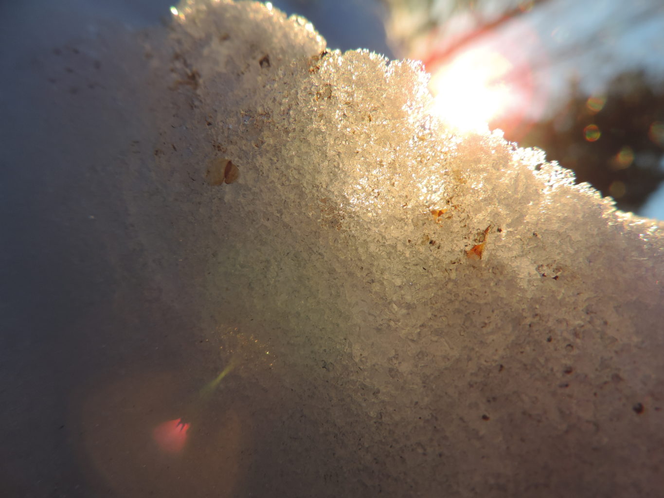 Valokuvaaja: Helena Sytelä