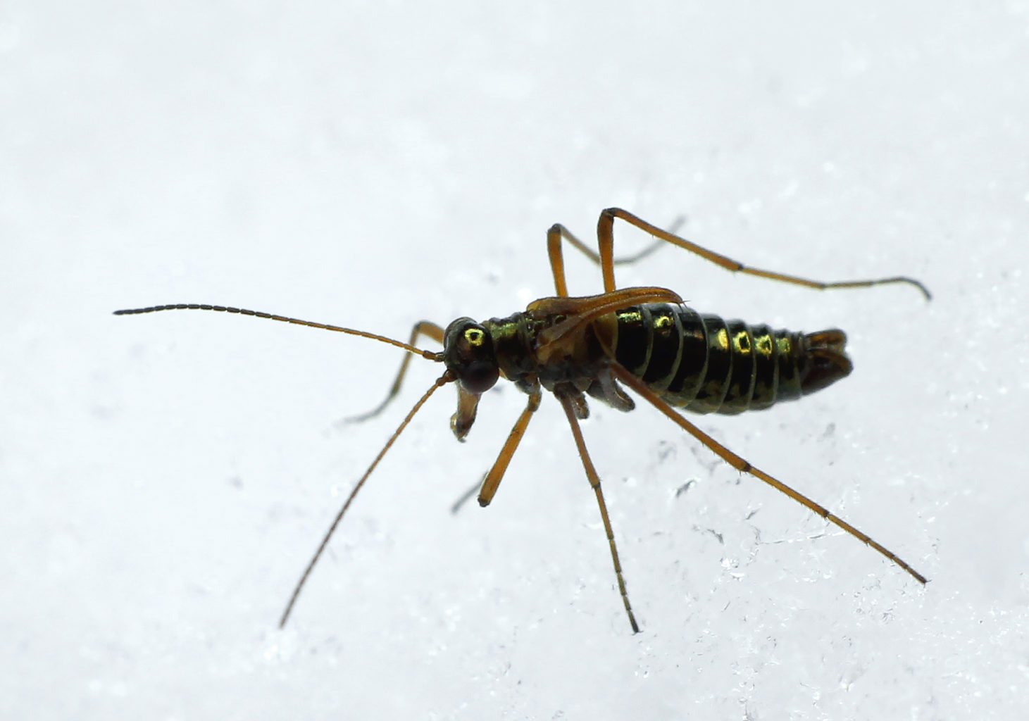 Valokuvaaja: Tarja Porkkala