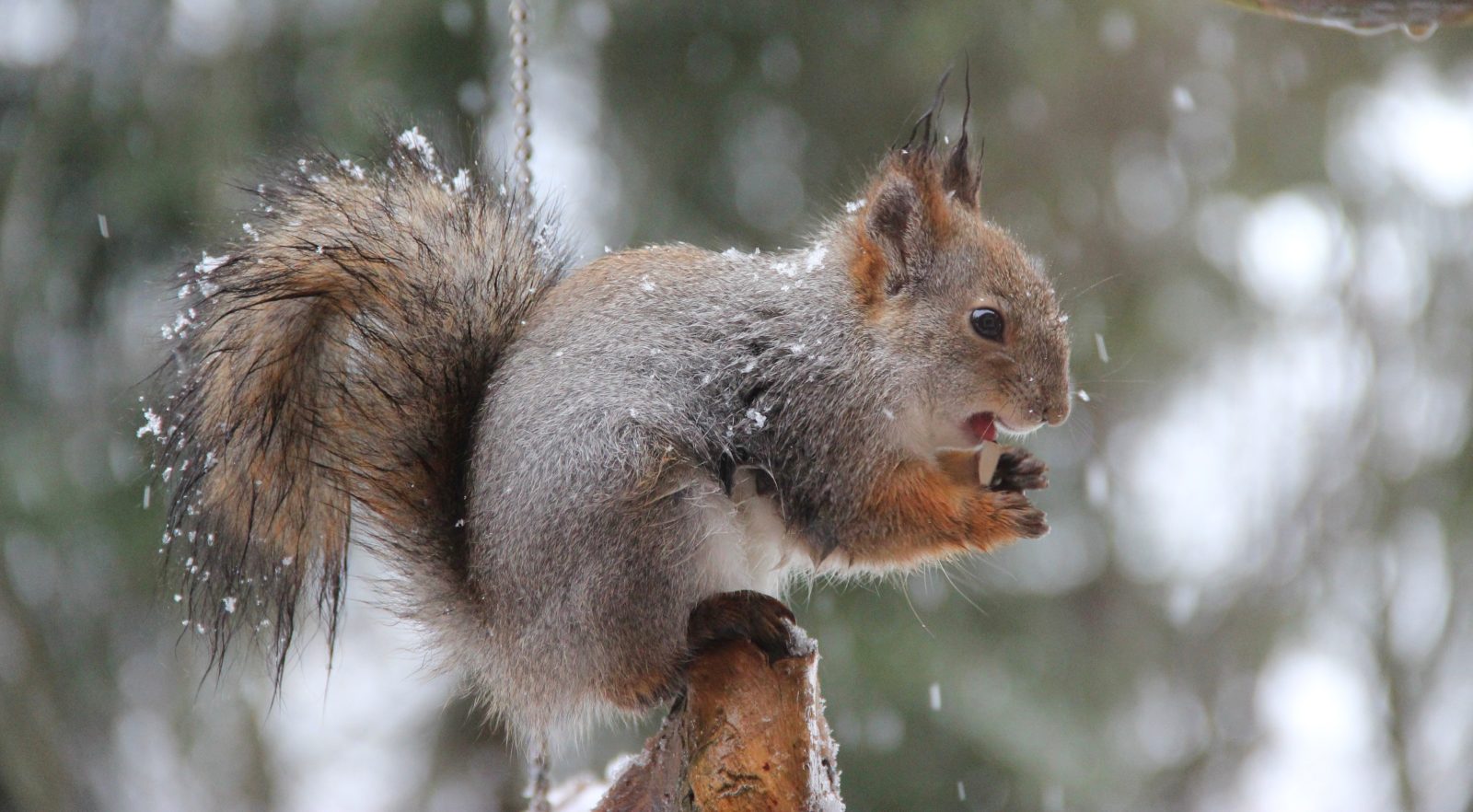 Valokuvaaja: SINIKKA KUJALA